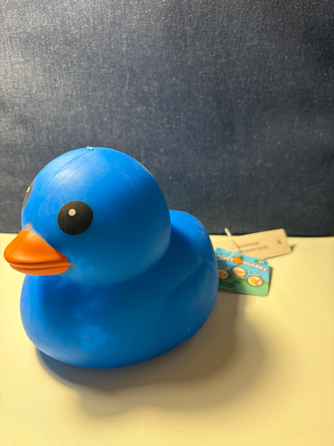 Blue Duck squishy toy
