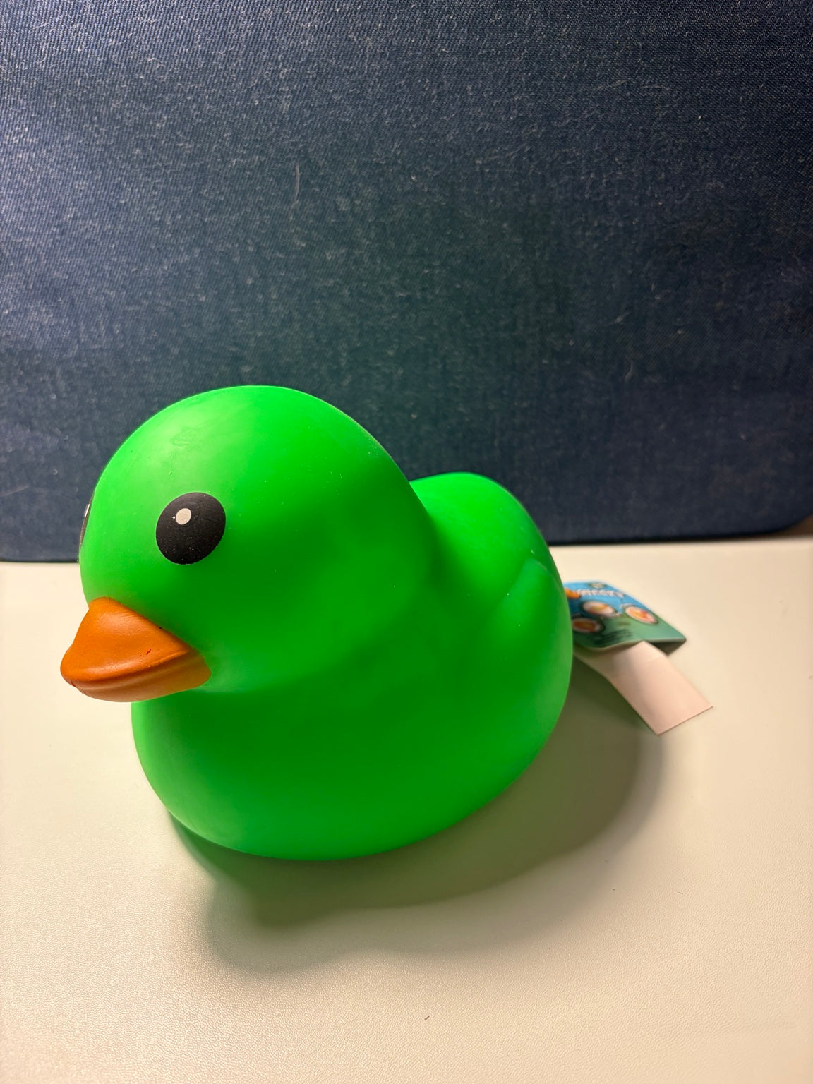 Green Duck squishy toy