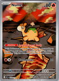 Numel #223/217 | Ascended Heroes | Illustration Rare | English