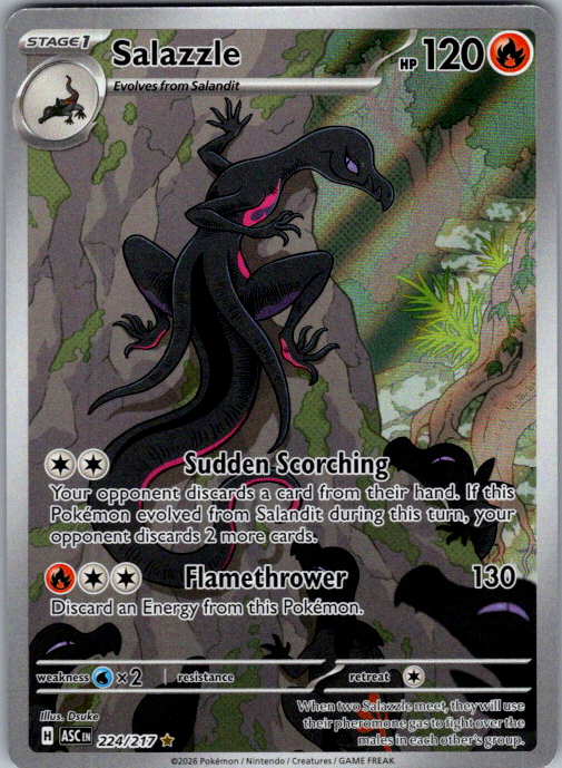 Salazzle #224/217 | Ascended Heroes | Illustration Rare | English