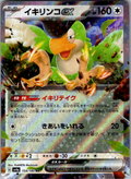 Squawkabilly ex Pokémon card scan